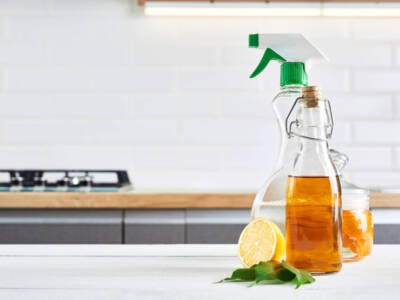 Sgrassatore naturale