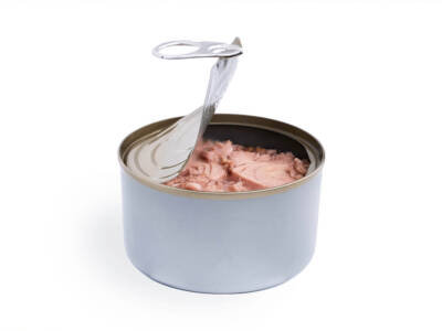 scatoletta di tonno