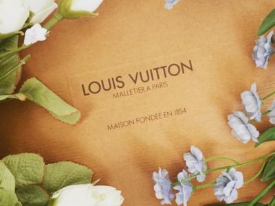 Come pulire l’ottone Louis Vuitton delle borse vintage?