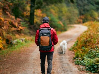 Uomo escursione bosco