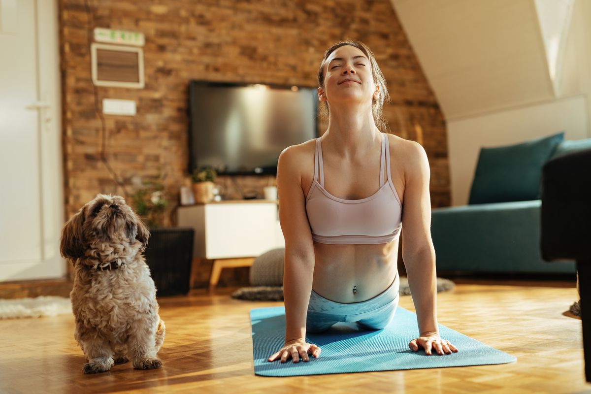 yoga esercizi in casa con cane