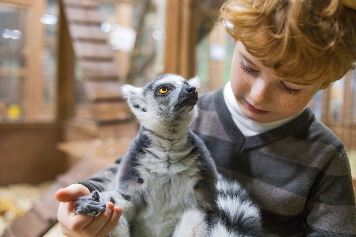 lemure e bambino