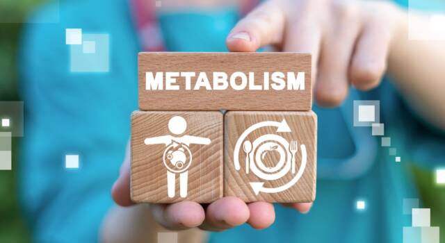 5 falsi miti sul metabolismo