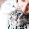 Malattie trasmesse dai gatti: quali sono e come evitarle