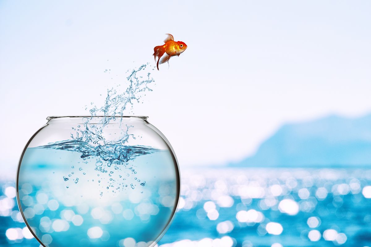 pesciolino fuga mare