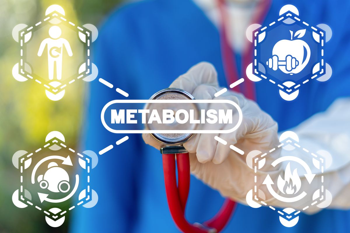 visita metabolismo