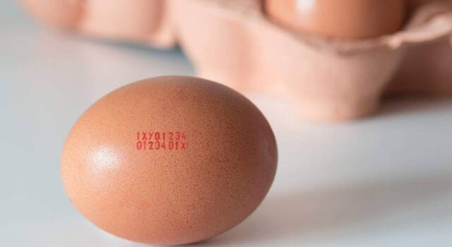 Codice sulle uova: cosa significano quei numerini  e come leggerli