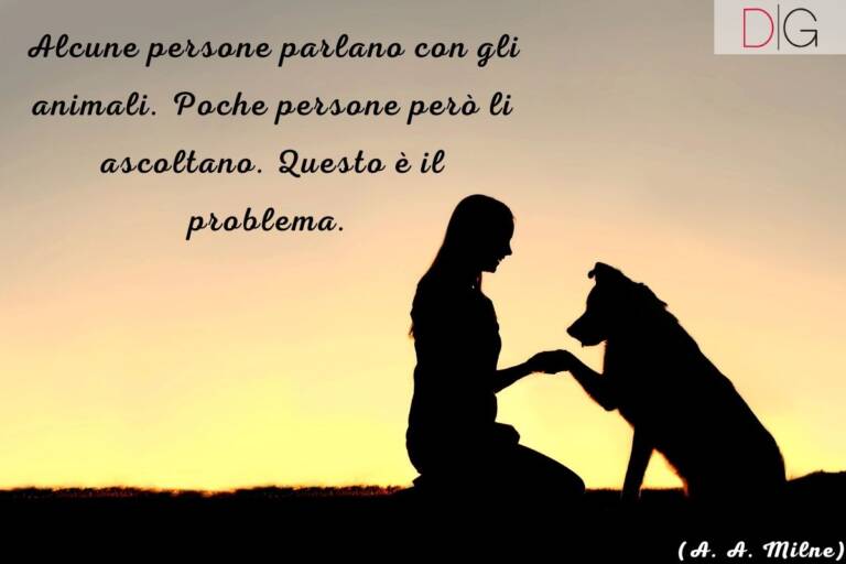 Frasi Sugli Animali Meglio Delle Persone
