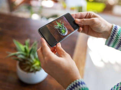 App per riconoscere le piante