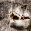 Tyrannosaurus Rex, dinosauro