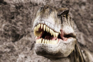 Tyrannosaurus Rex, dinosauro