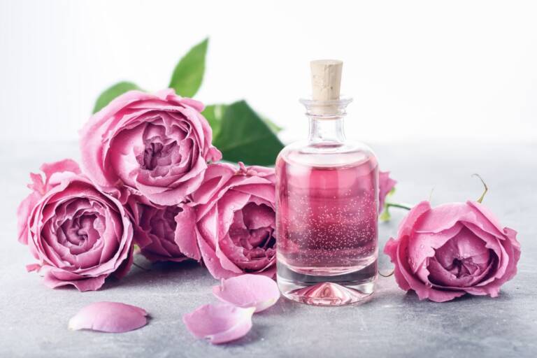 Acqua di rose benefici e proprietà per uso interno ed esterno