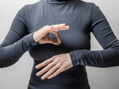 lunguaggio dei segni