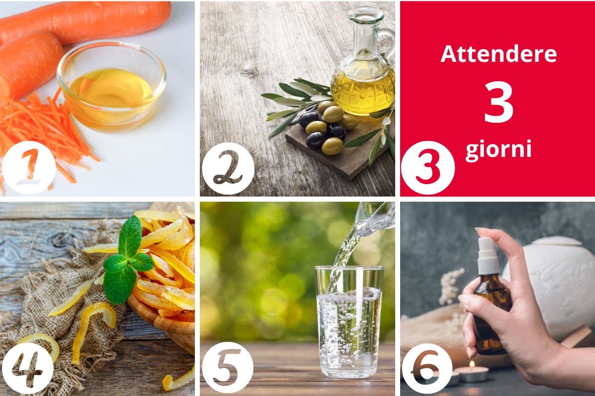 Ingredienti per fare l'olio abbronzante alla carota