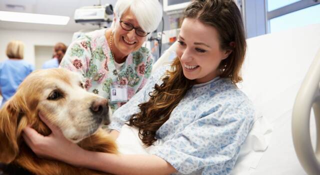 Biella: gli animali (non solo cani e gatti) entrano in ospedale per andare a trovare i padroni
