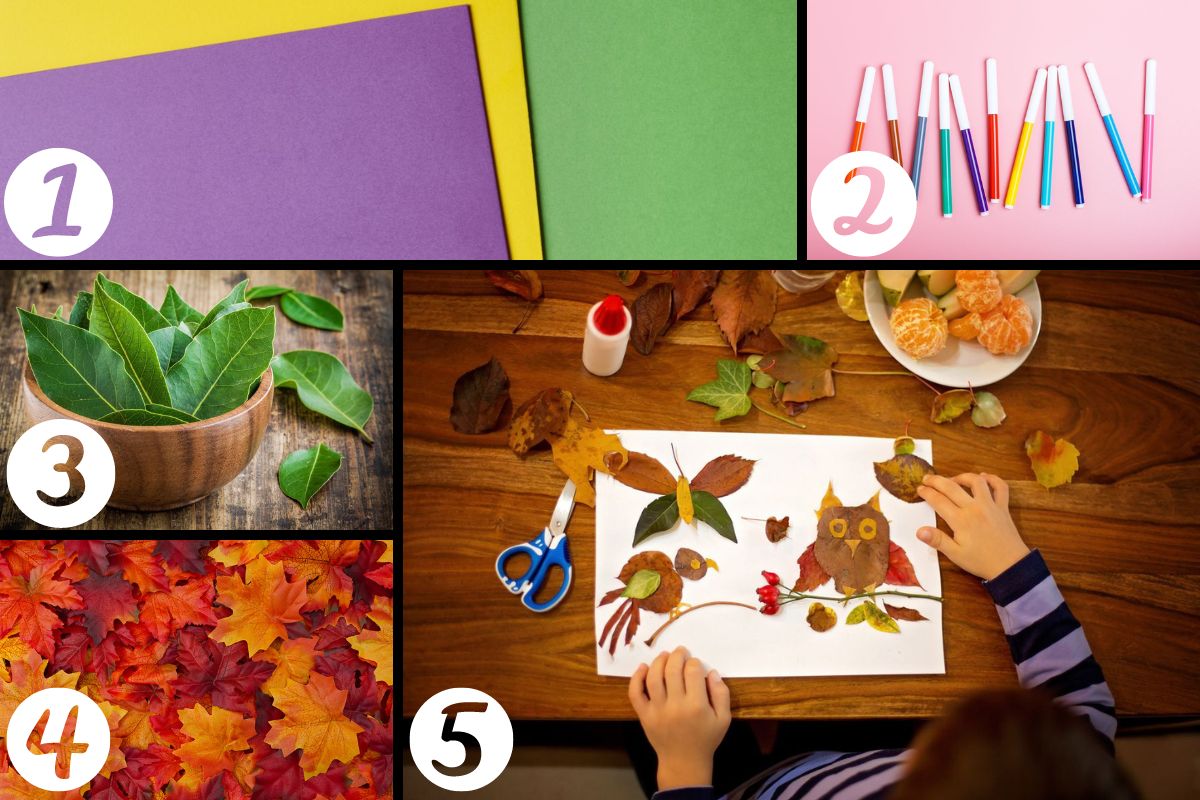 Collage con le foglie