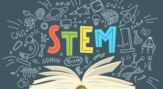 Cosa significa STEM?