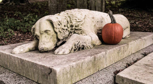 In Lombardia nasceranno i primi cimiteri per animali domestici: approvato il decreto