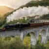 Treno Hogwarts, Harry Potter