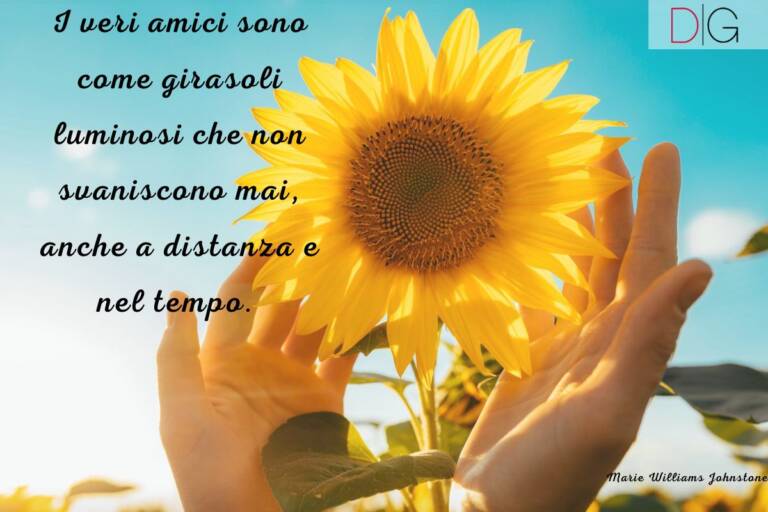 Frasi sul girasole, il fiore più solare di tutti