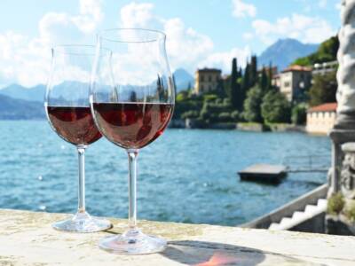 Vini italiani: quali sono i più amati all’estero e dove comprarli