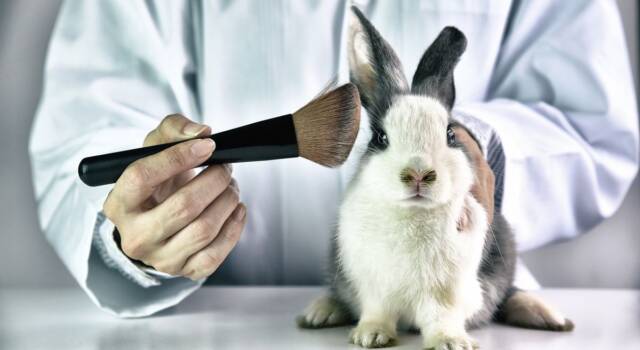 Cosmetici e test sugli animali: ecco a che punto siamo in Italia e in Europa