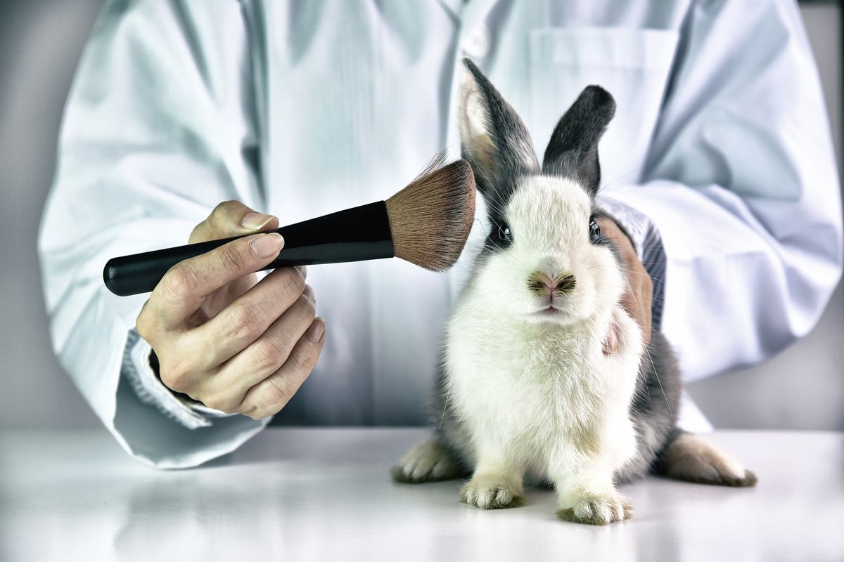 Cosmetici e test sugli animali: a che punto siamo in Italia?