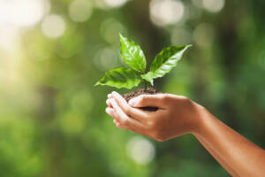 Natura