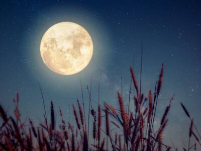 Occhi al cielo per la luna piena del raccolto: ecco quando e come vederla