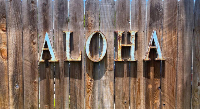 Cosa significa Aloha: origine e modi d&#8217;uso
