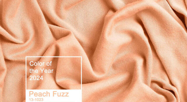 Tutto sul Peach Fuzz, il colore Pantone 2024