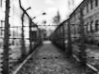 Filo spinto Auschwitz