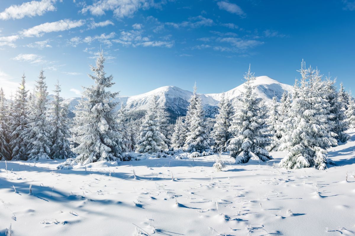 Paesaggio innevato montagne