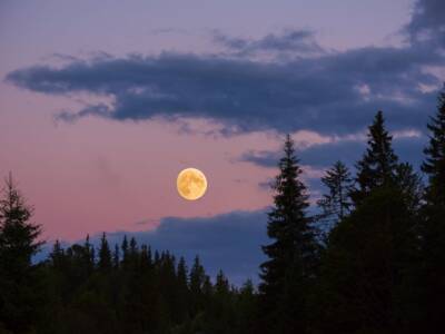 paesaggio luna sera tramonto colori bosco alberi