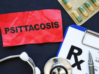 psittacosis batterio medicine stetoscopio