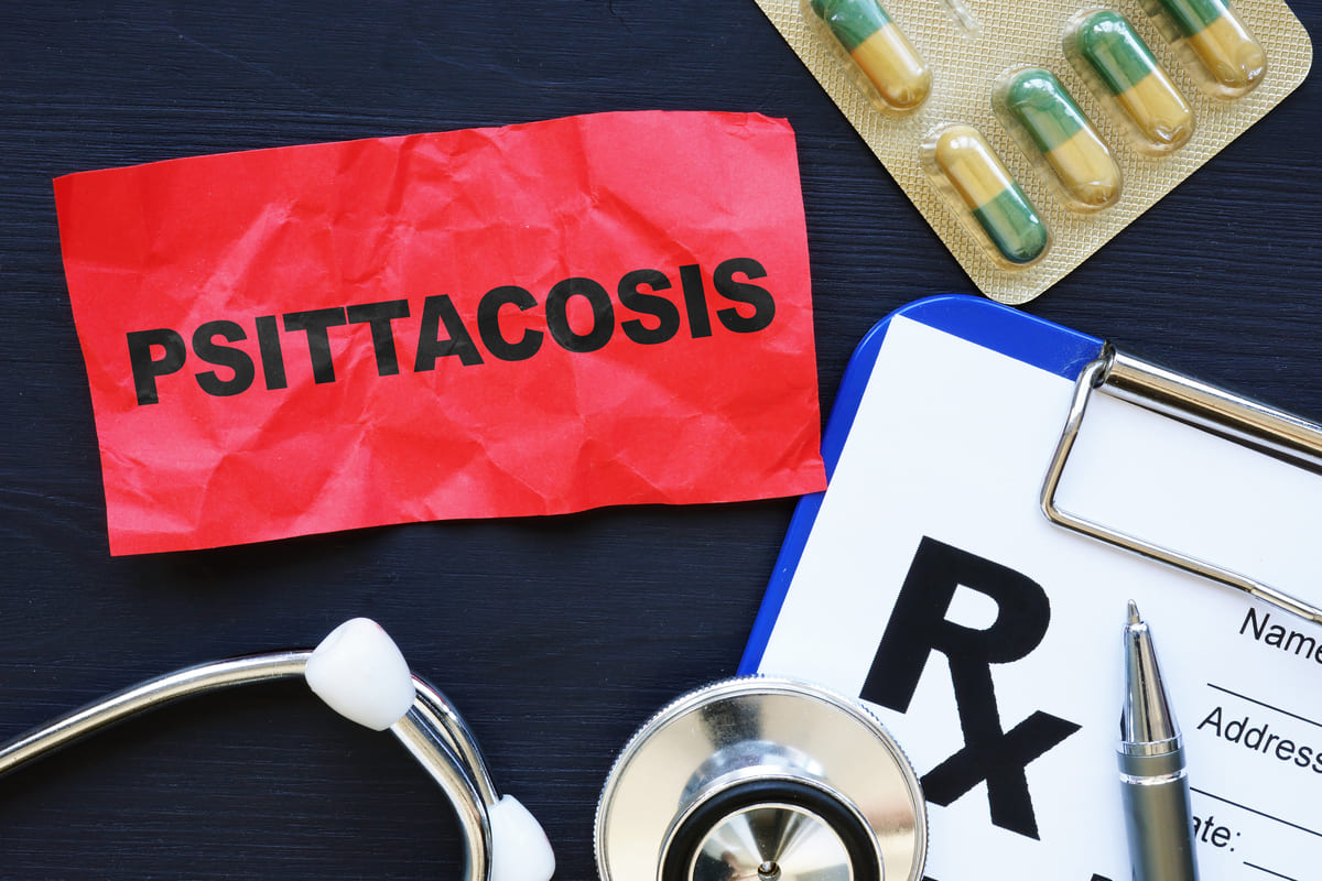 psittacosis batterio medicine stetoscopio