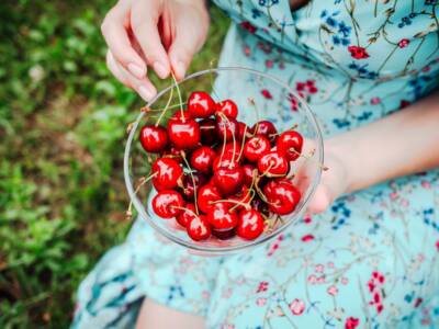 ciotola ciliegie fresche giardino