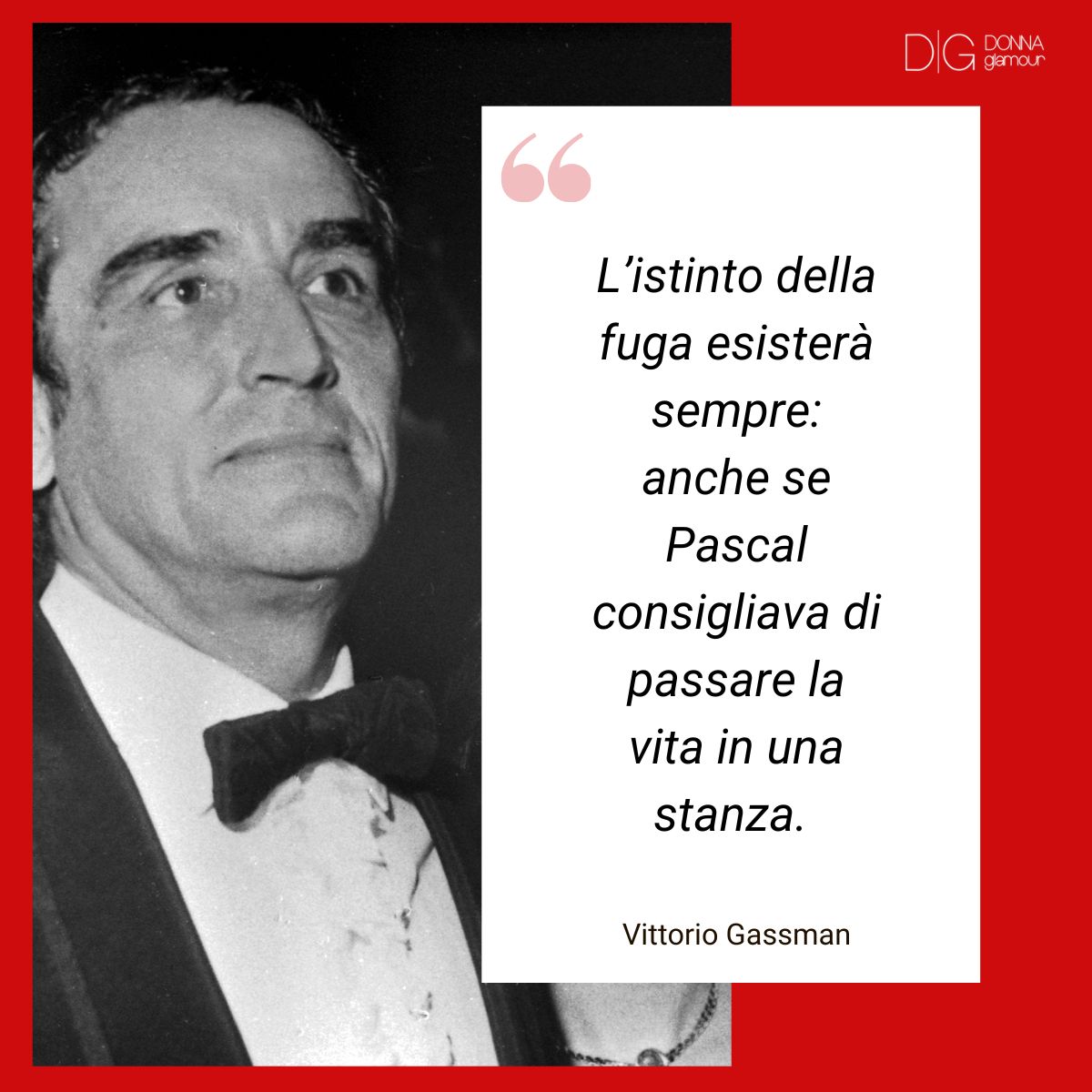 infografica su frasi sull'istinto