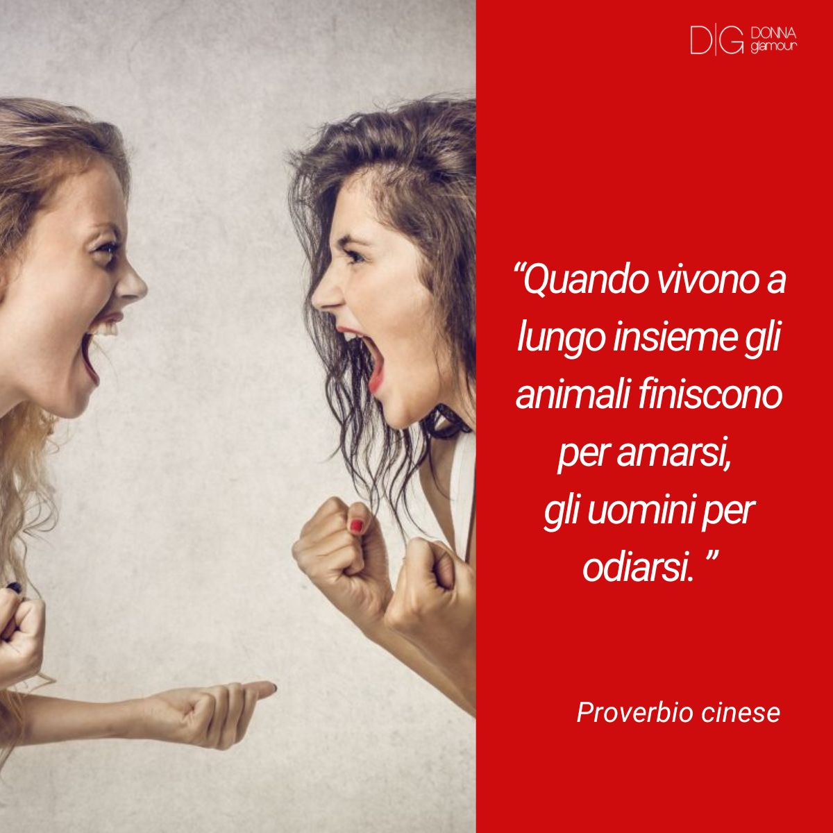 infografica su frasi sulla convivenza