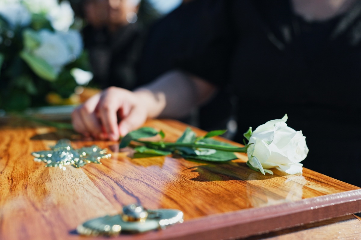Rosa bianca appoggiata da una persona in segno di omaggio.