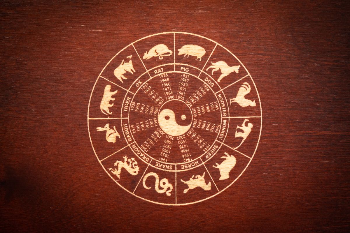 Panoramica astrale dei dodici segni zodiacali dell'oroscopo cinese.