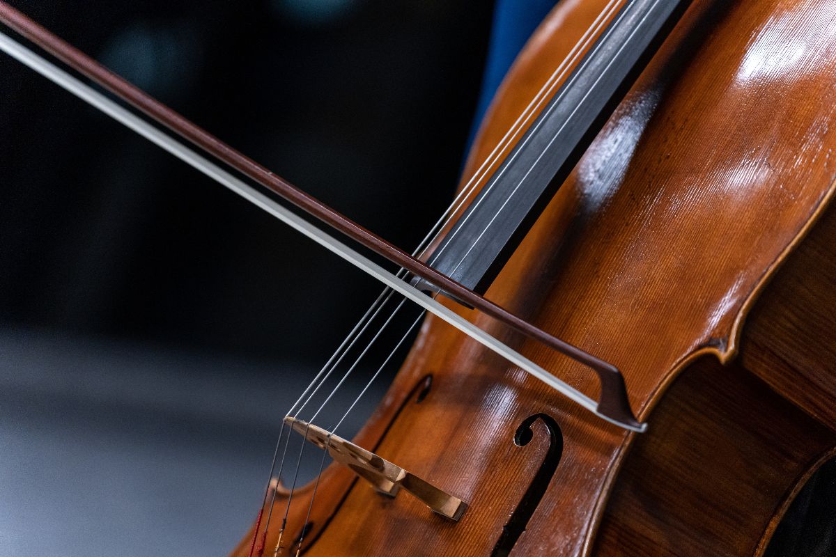 Violoncello