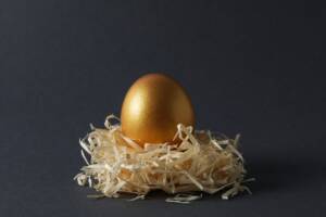Nido con un uovo d'oro adagiato al suo interno